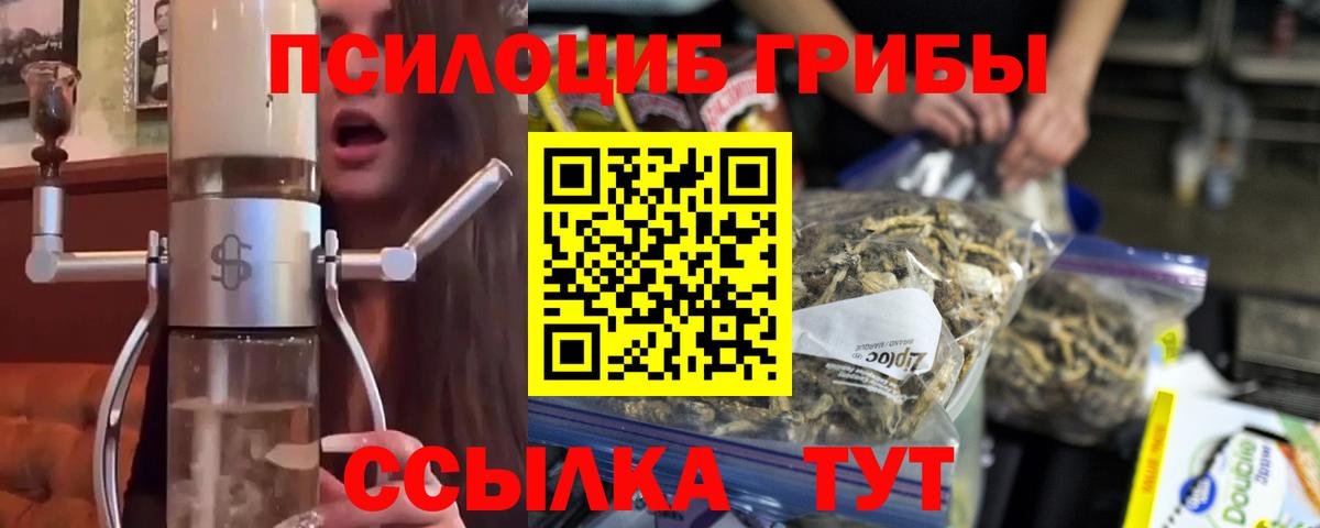 Псилоцибиновые грибы прущие грибы  Вход с VPN  Галлюциногенные грибы прущие грибы  Мичуринск 
