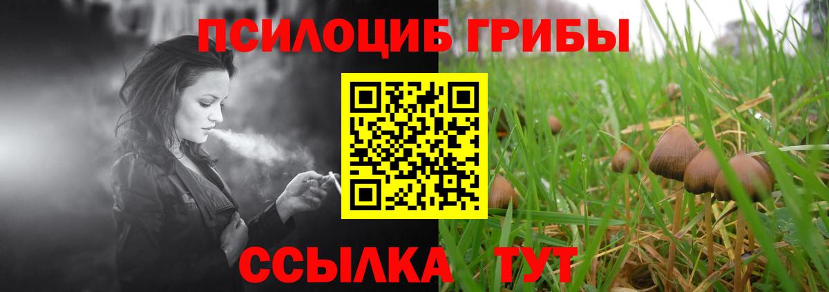 Галлюциногенные грибы Magic Shrooms Мичуринск